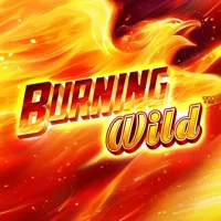 Burning WILD