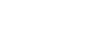 Play`n Go Logo